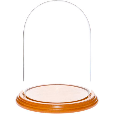 Cloche à dôme en verre 5,5 "x 8" Vucciria