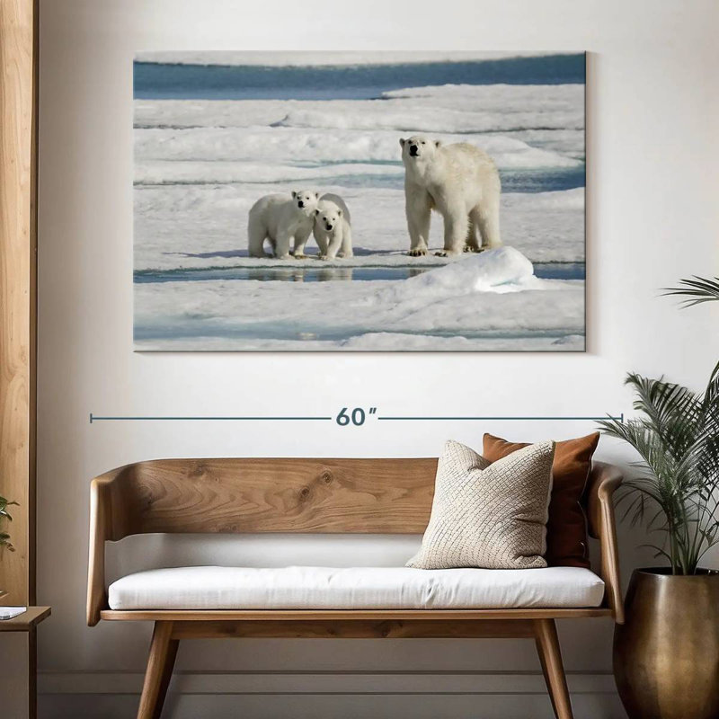 Ours polaires Brampt Longyearbyen