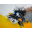 Solar Impulse Print by Pol Ledent-1583988492