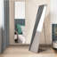 Modern Slim Frame Full Length Mirror-1364505943-1364505937