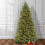 National Tree Company Dunhill Fir Tree with Dual Color LED Lights and PowerConnect-1865348524
