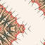 Desert Diamonds (Large) | Intricate Geometric Wallpaper Double Roll-1213576956