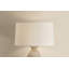 Box Elder Table Lamp