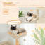 Tour à chat pour chat-954362445