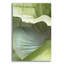  «Banana Leaf 1» par Brittany Evans, art mural en verre acrylique, 16 po x 24 po-243023162