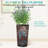 2 Pack Tall 21.7 in Dorota for Outdoor and Indoor Use, Modern Square Design with UV and Crack-Resistant Features, Perfect for Large Plants and Trees-1388231668