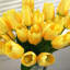 Arrangement floral de tulipes dans un vase-292480282