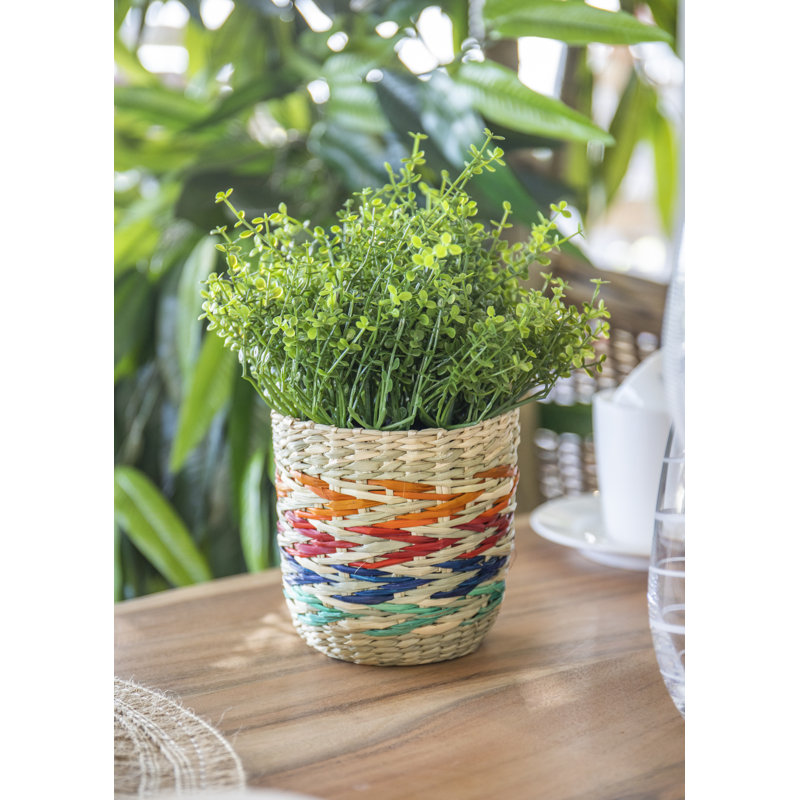 KitchenCraft Seagrass Plant Basket, Rainbow Striped Design