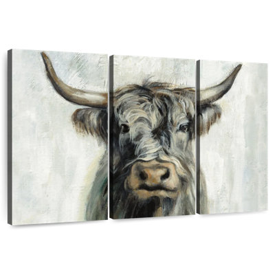 Highland Cow Horizontal