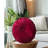 Lanajah Round Pillow Cover & Insert-252943905