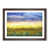 Walnut Framed selected