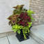 Boîte à fleurs en plastique Anastassia-665476795