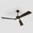 Karlena 60'' Modern Large Dimmable Ceiling Fan with Led Light and Remote-167476058