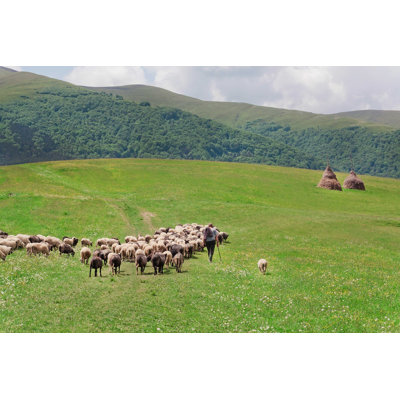 " Shepherd With His Sheep "