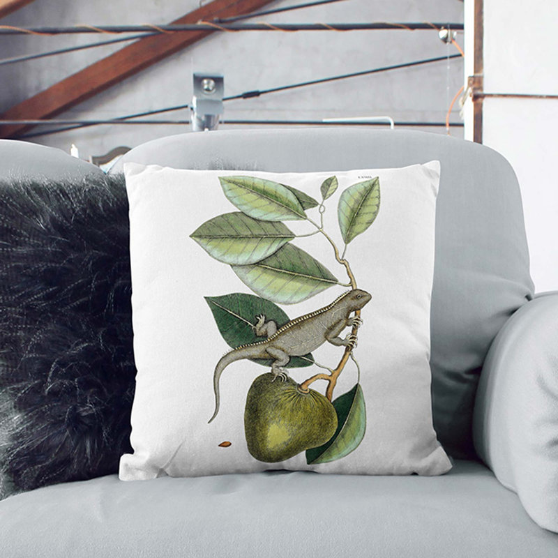 Lizard by Mark Catesby Cushion with Filling, 40cm H x 40cm W x 15cm D