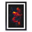 Red Octopus - Picture Frame Graphic Art Print-56857403-56857405