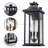 19.5 In. Black Outdoor Wall Lantern With Tempered Glass Shade