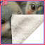 Paire de couvertures mignonnes Koala-126736207
