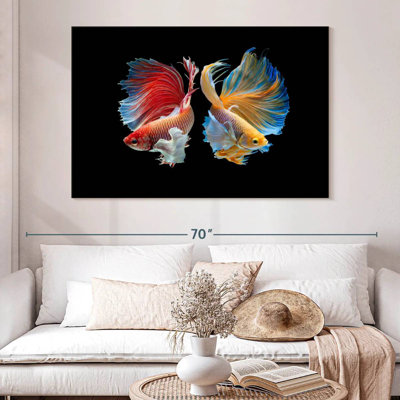 Betta Fish In Sync