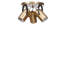 Lustre-1374429309-1374429308-1374429304