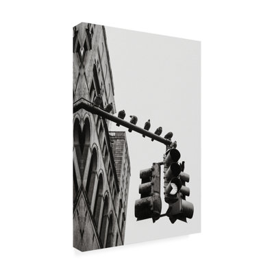 New York City Doves - Wrapped Canvas Print -  Trademark Fine Art, 1X21253-C1624GG