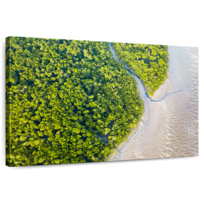 Alvord Dense Amazon Rainforest