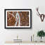 Bend In The Forest Road Painting - Single Picture Frame Print on MDF-56633660-56633659