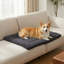 Polyester Pet Bed-545129486
