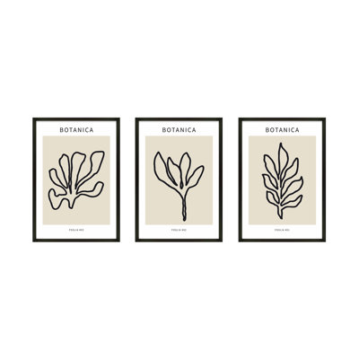 Foglio Botanica