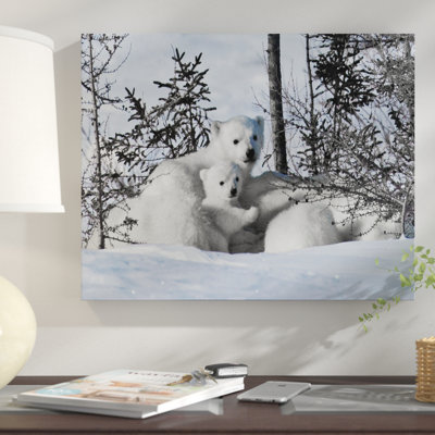 " Winter Cubs "