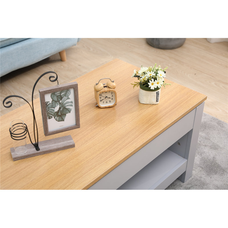 Gerli Sled Coffee Table with Storage, Oak/Grey