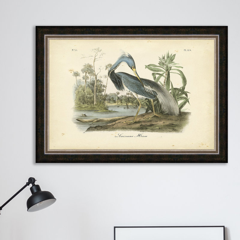 " Audubon "