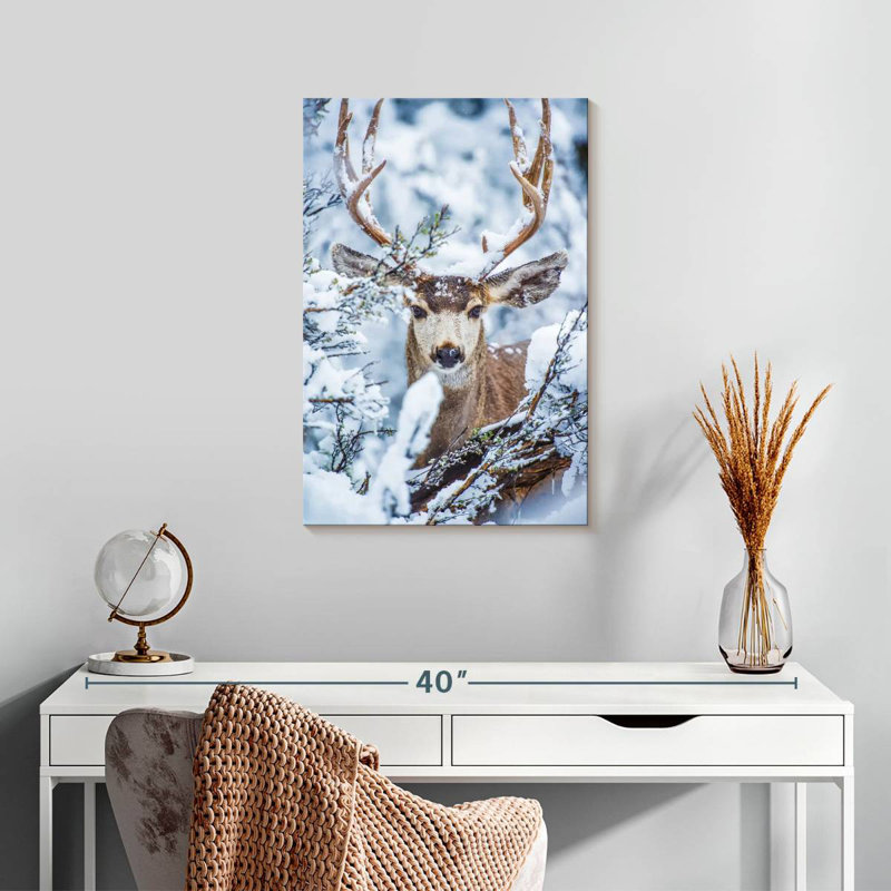 Brampt Winter Mule Deer, 24" H x 16" W