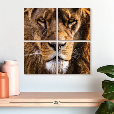 Tête de lion Brampt Regal