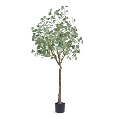 Faux eucalyptus 71,26 po