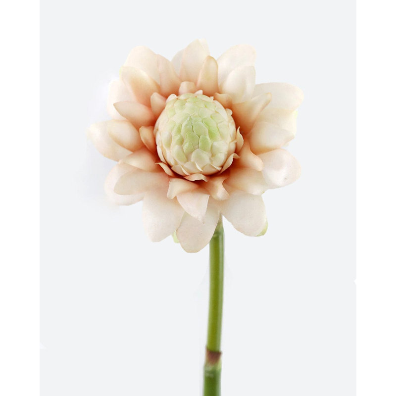 Faux Green Waratah Protea 16.5”, Pink, 31" H x 6" W
