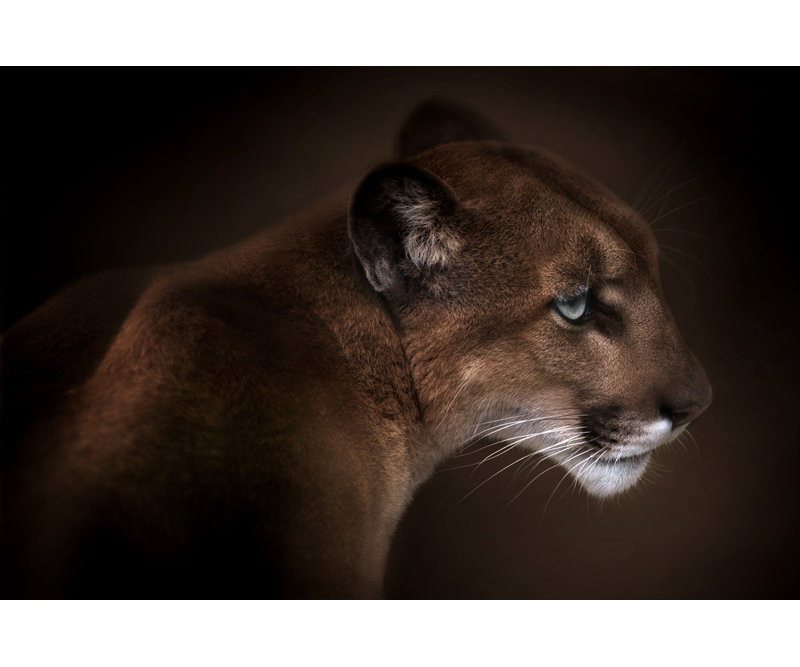 Wrapped Canvas Print, 60.96 cm H x 91.44 cm W