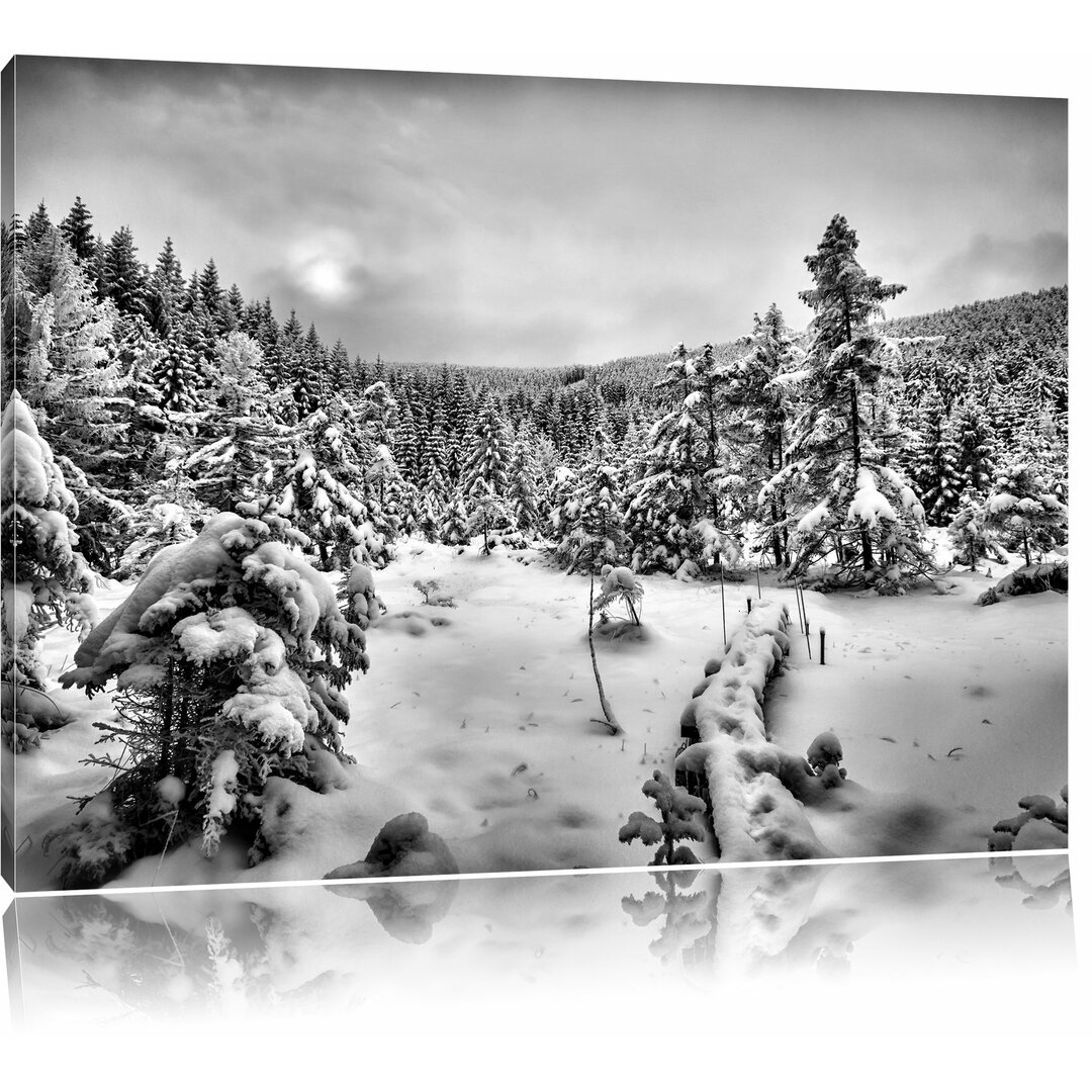 Leinwandbild Winterlandschaft, vereister See in Monochrom