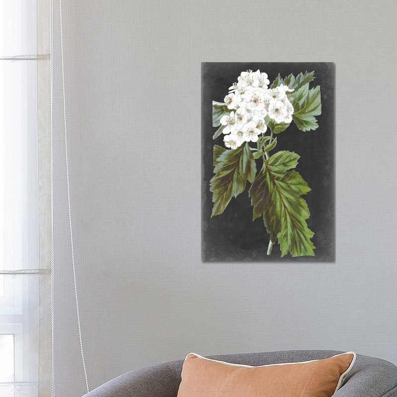 Dramatic White Flowers IV by Vision Studio - Wrapped Canvas Print