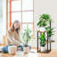 Plant Stand - Set of 4
