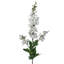 35 "Soft Touch Garden Delphinium-1487348026