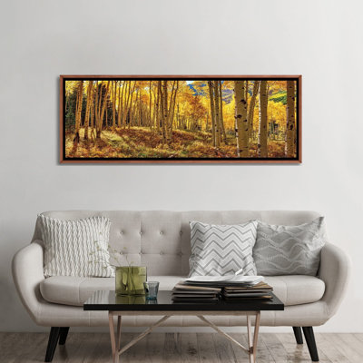 " Autumn Aspen Colorado Forest Panorama "