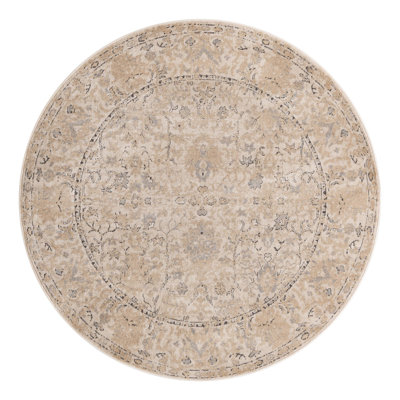 Singleton Oriental Area Rug