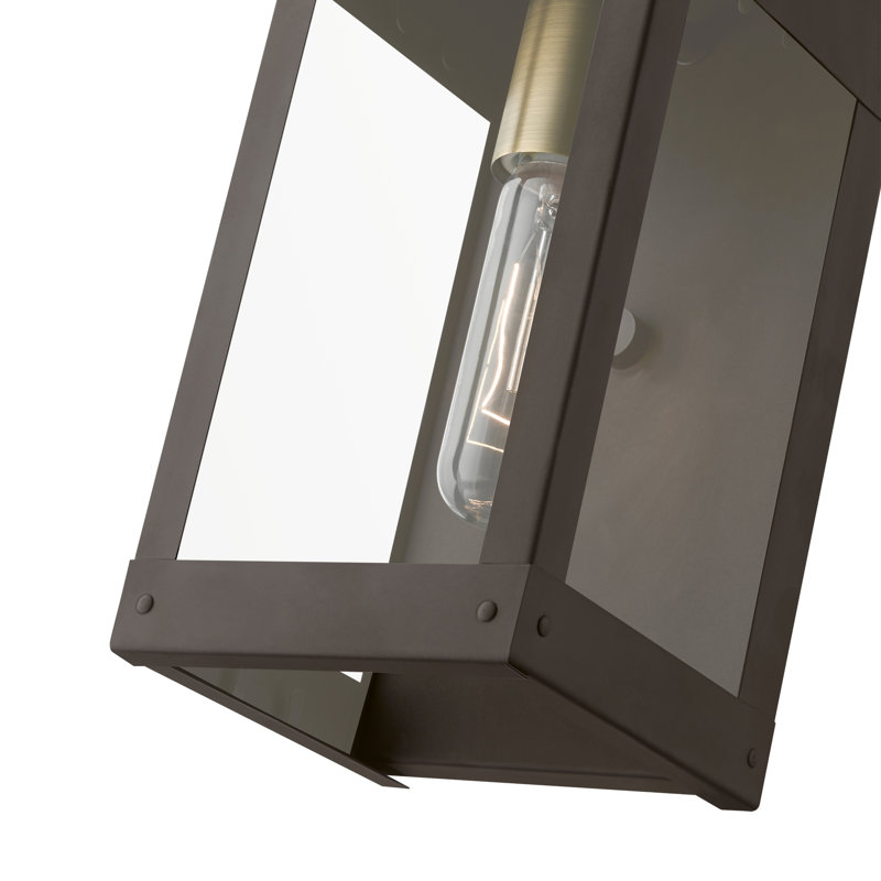 Pippo 1 - Bulb 9.75" Integrated LED Outdoor Wall Lantern, Bronze