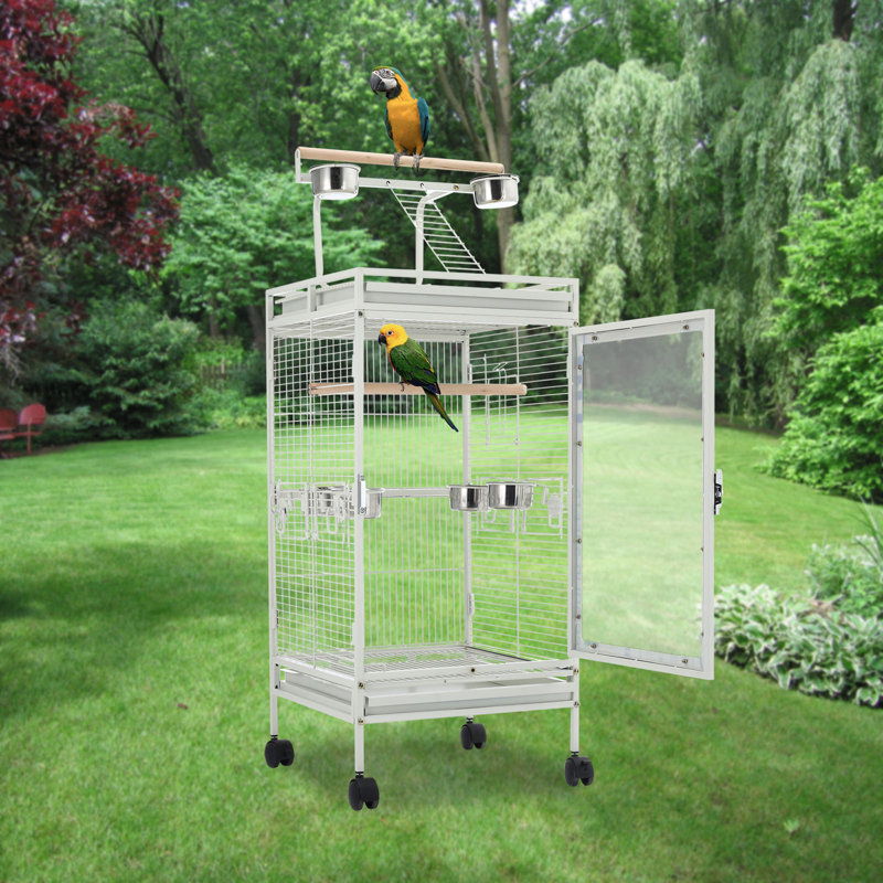 Mouse Cage
