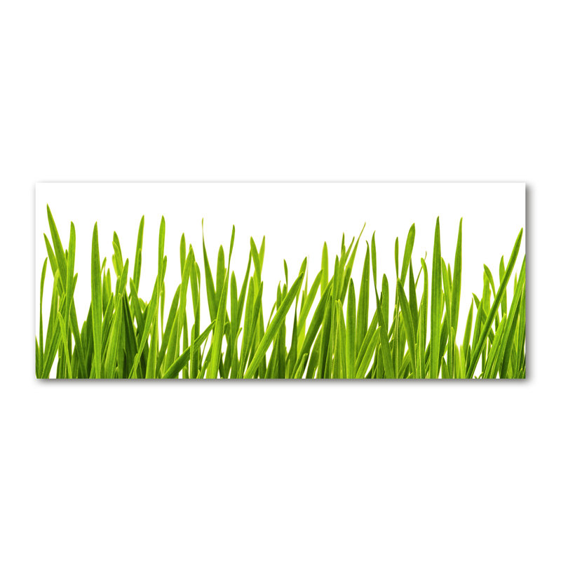 Grass - No Frame Print on Canvas