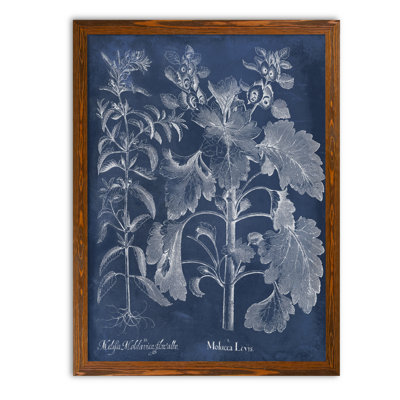 " Besler Leaves In Indigo I " by Paul Cezanne