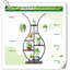 Support pour plante Attilia-1100667204