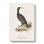 Great Cormorant by Von Wright - Wrapped Canvas-55314902