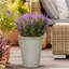 Rustic Style Rolled Rim Vase Planter-32389893-32389894
